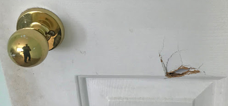 interior door hole repair Winters