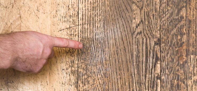 Wood Door Scratch Repair in Winters